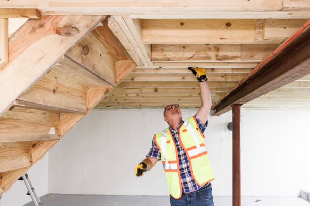 Professional basement conversion into a livable area